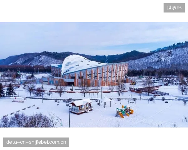 截至2026年，超过85%的新建ISU认证级冰壶场馆已将此项质检列为强制验收项目